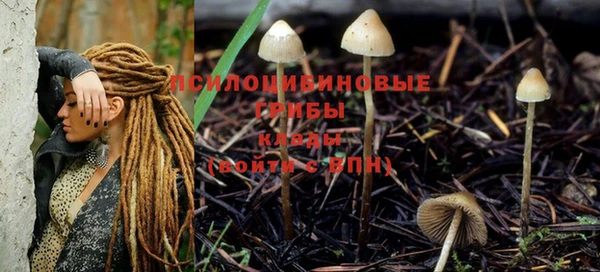 герыч Михайловка