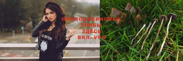хмурый Михайлов