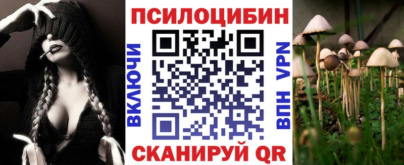 где найти   Ковров  Галлюциногенные грибы Psilocybine cubensis 
