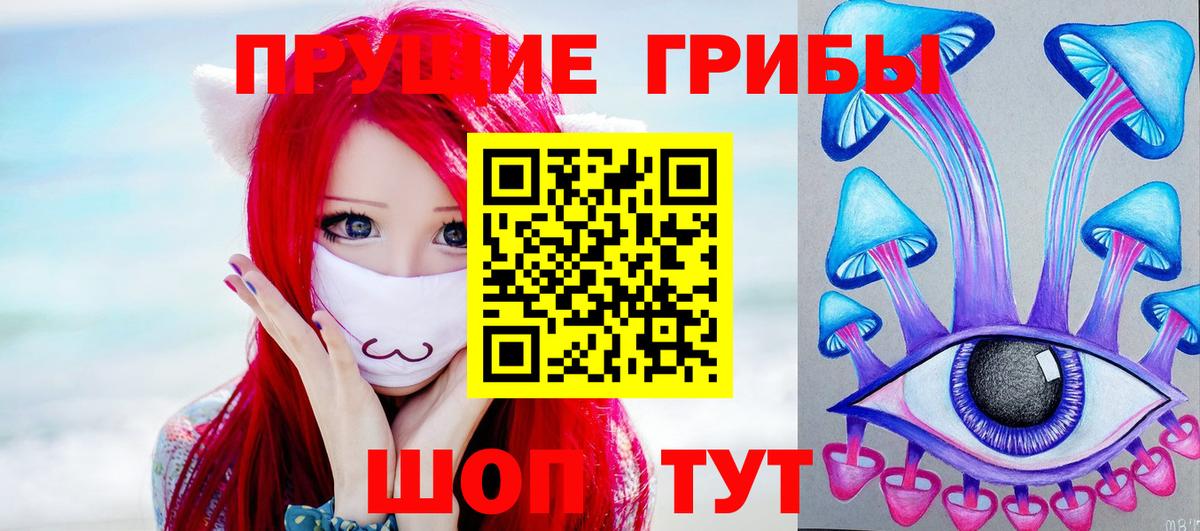 сколько стоит  Ковров  Псилоцибиновые грибы прущие грибы 