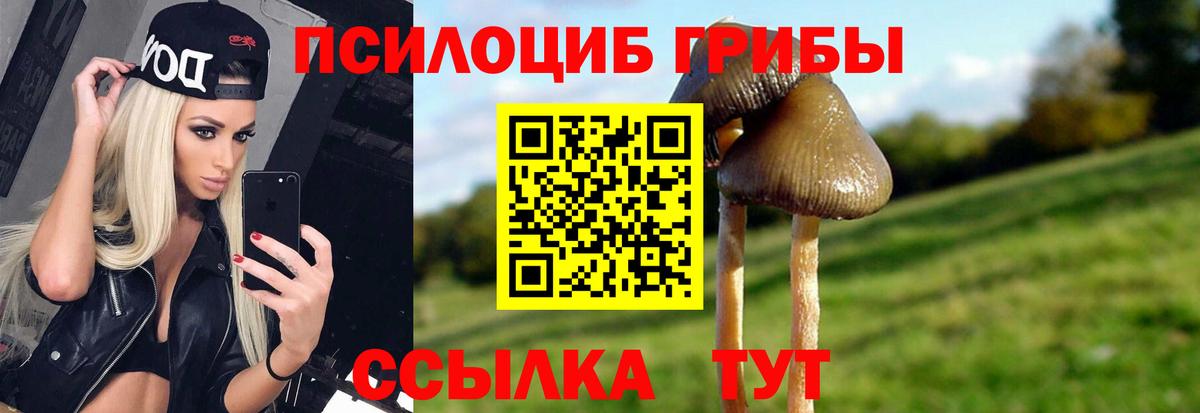 Ковров  что такое наркотик  Вход с VPN  Псилоцибиновые грибы Cubensis 