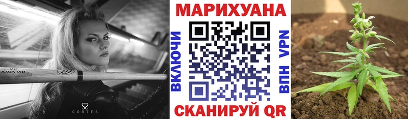 Конопля план  Ковров 